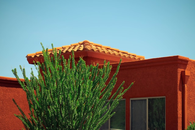 a red house with a large green plant our front